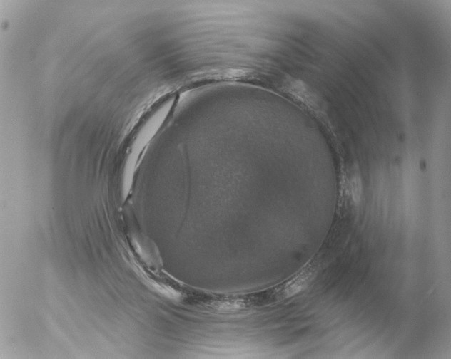 X0000056330110200509092338