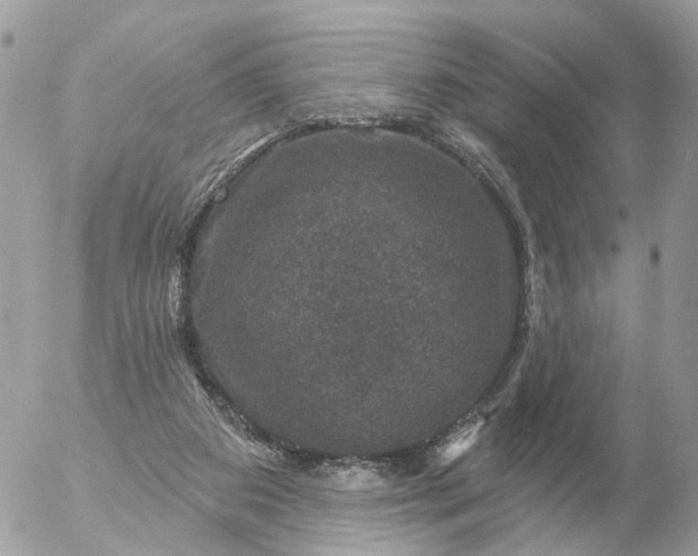 X0000056330113200509092338