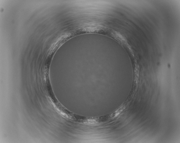 X0000056330114200509092338