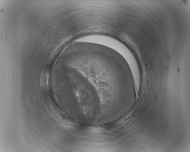 X0000056330115200509092338