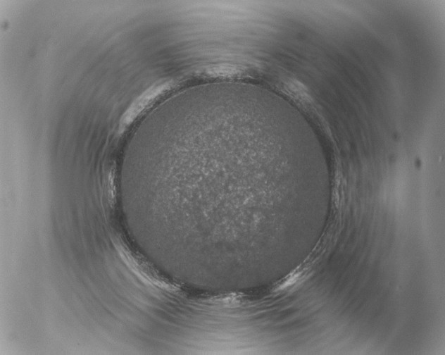 X0000056330116200509092338