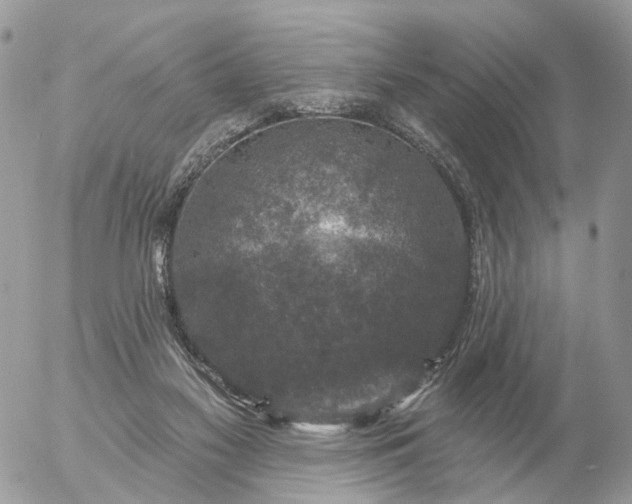 X0000056330117200509092338