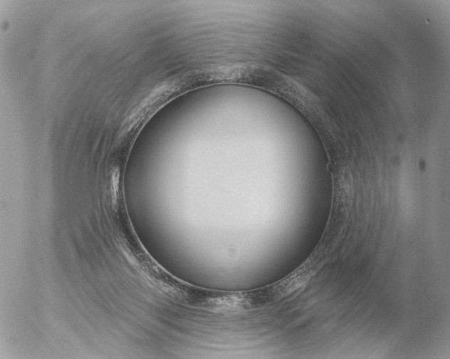 X0000056330118200509092338