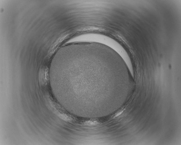 X0000056330119200509092338