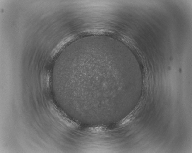 X0000056330120200509092338