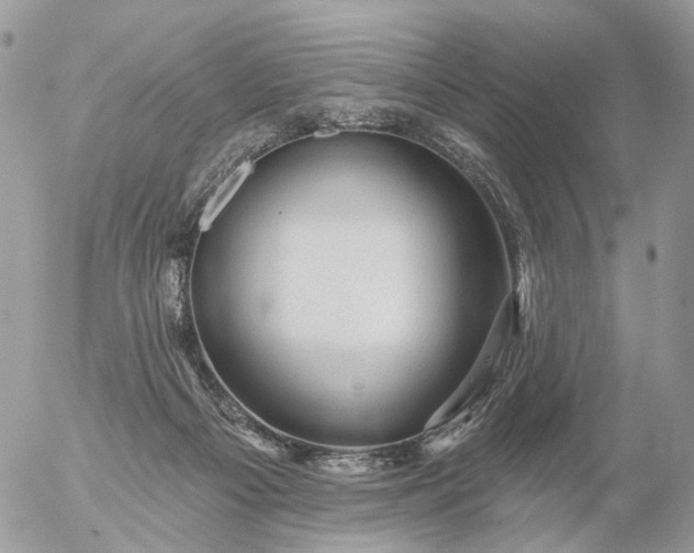 X0000056330121200509092338