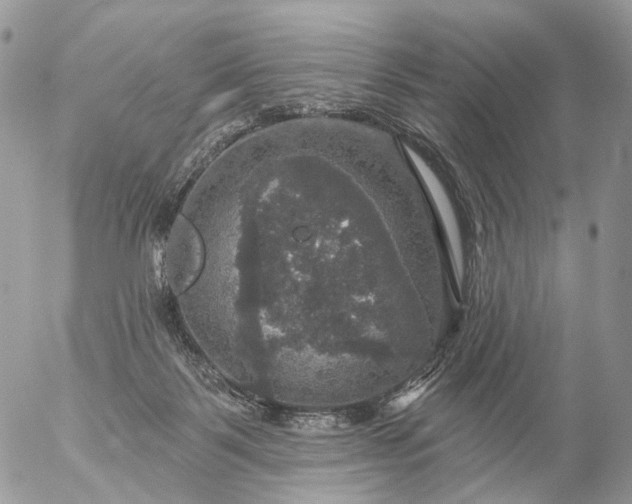 X0000056330123200509092338