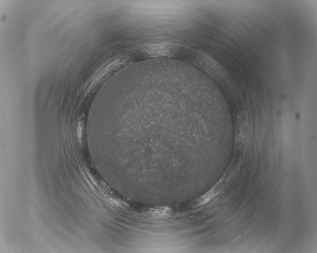 X0000056330124200509092338