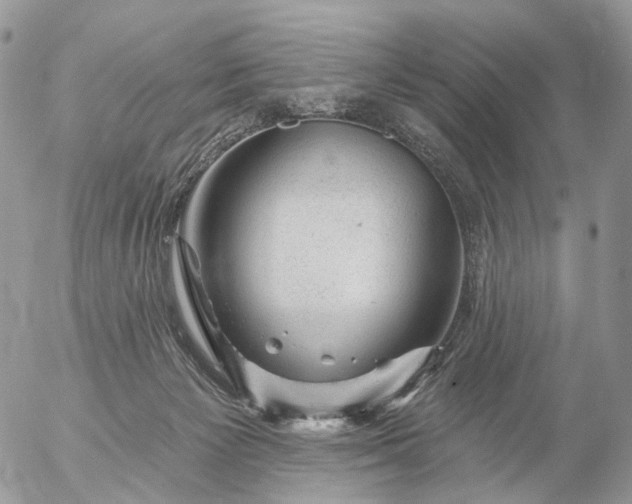 X0000056330125200509092338