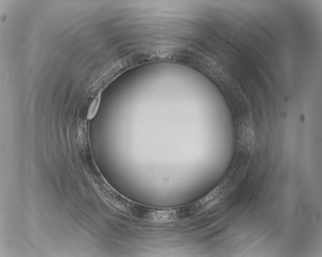 X0000056330126200509092338