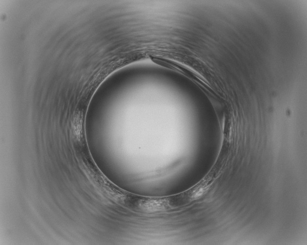 X0000056330129200509092338