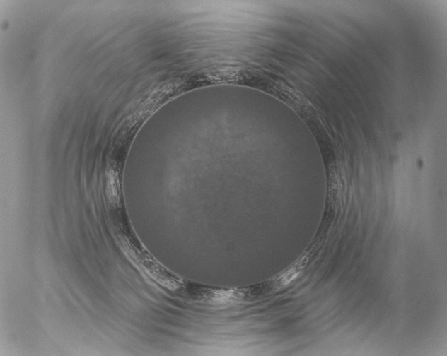 X0000056330130200509092338