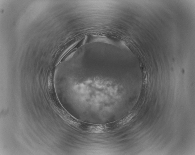 X0000056330131200509092338