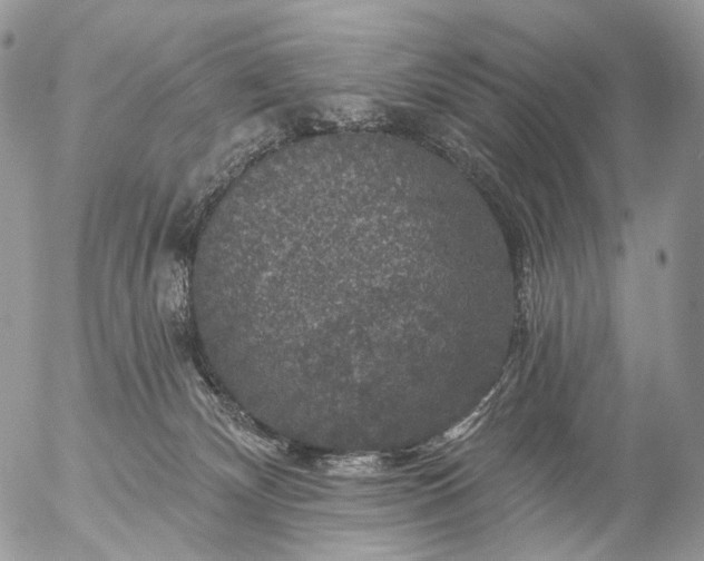 X0000056330132200509092338