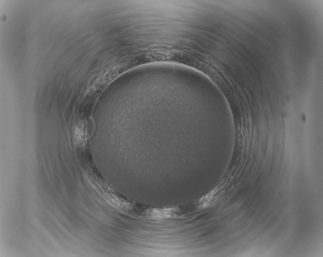 X0000056330134200509092338