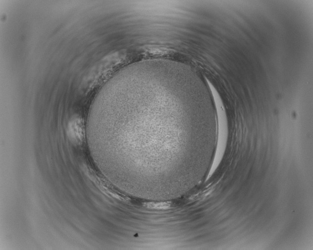 X0000056330135200509092338