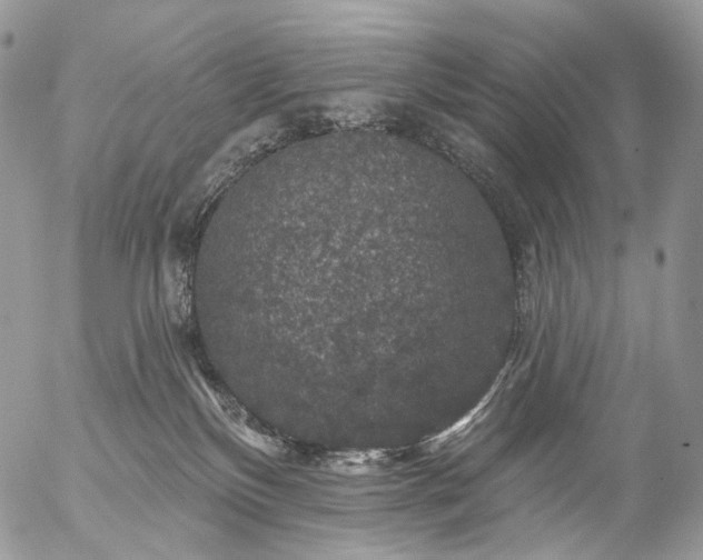 X0000056330136200509092338