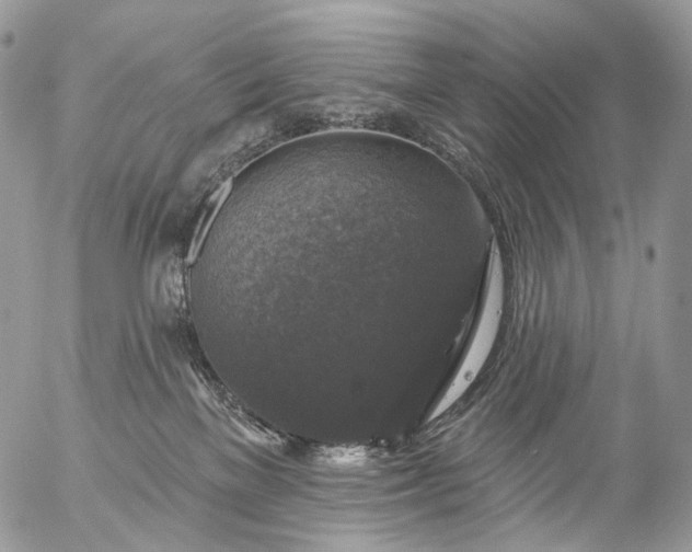 X0000056330137200509092338