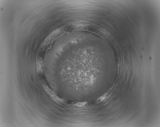 X0000056330138200509092338