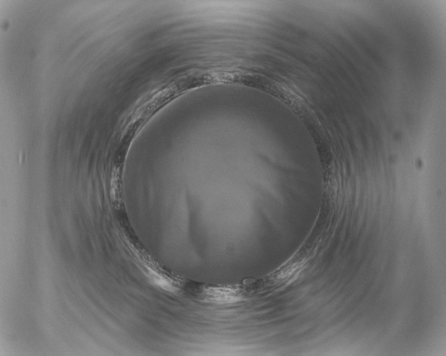 X0000056330139200509092338