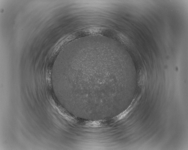 X0000056330140200509092338