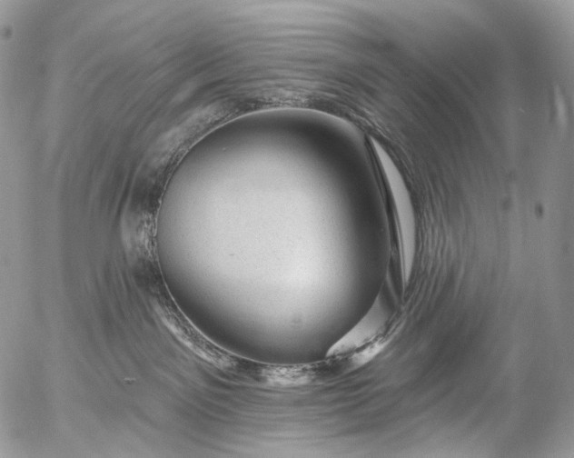 X0000056330141200509092338