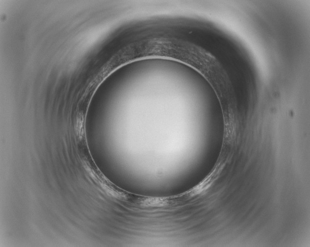 X0000056330142200509092338