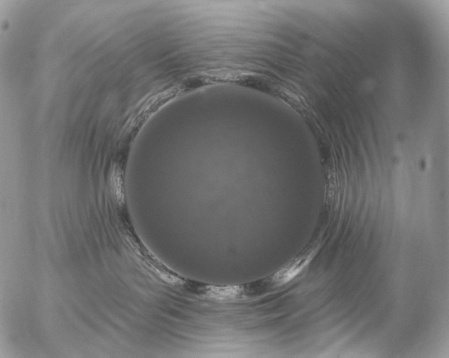 X0000056330143200509092338