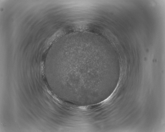 X0000056330144200509092338