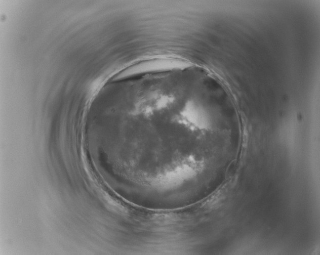 X0000056330145200509092337