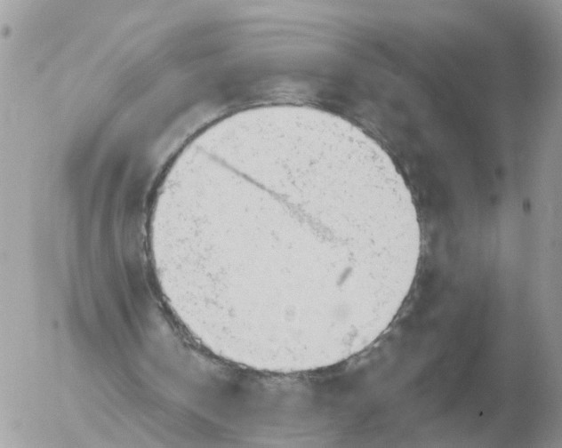 X0000056330146200509092337