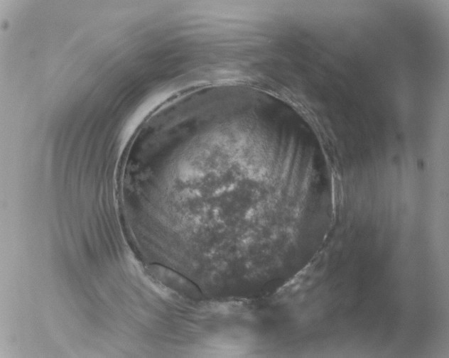 X0000056330147200509092337