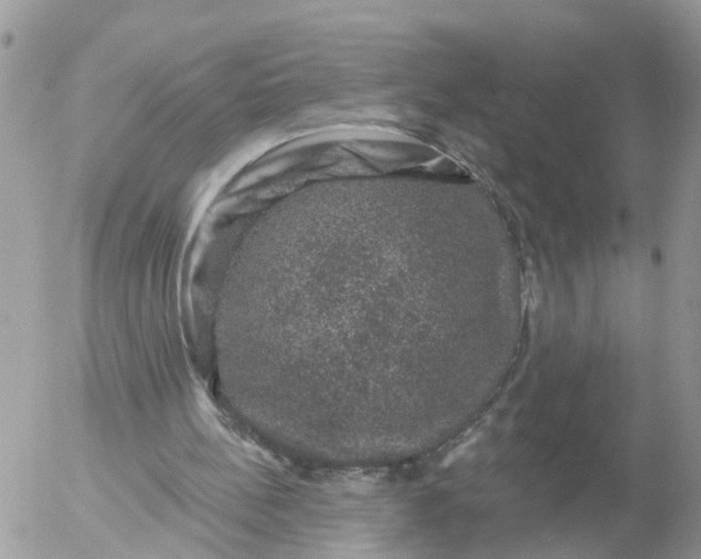 X0000056330148200509092337