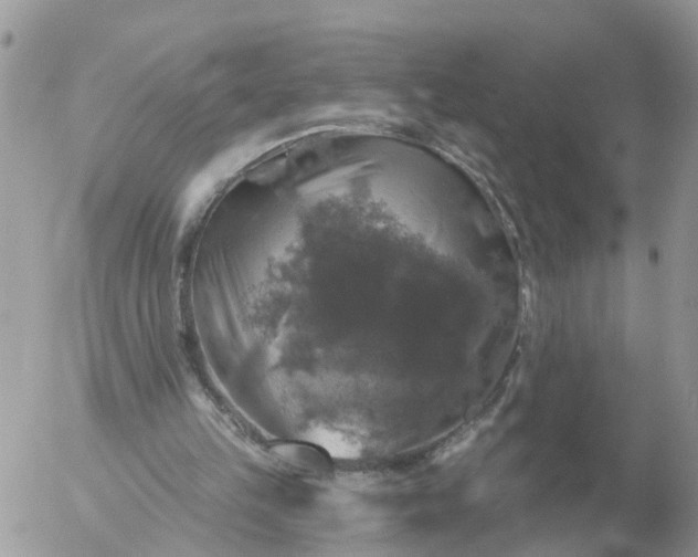 X0000056330149200509092337