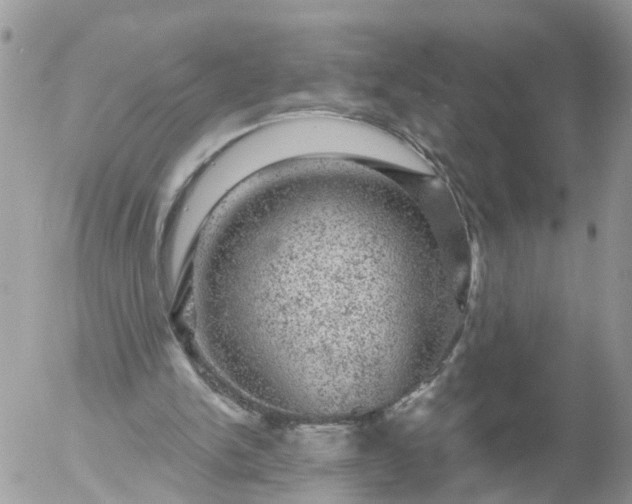 X0000056330150200509092337