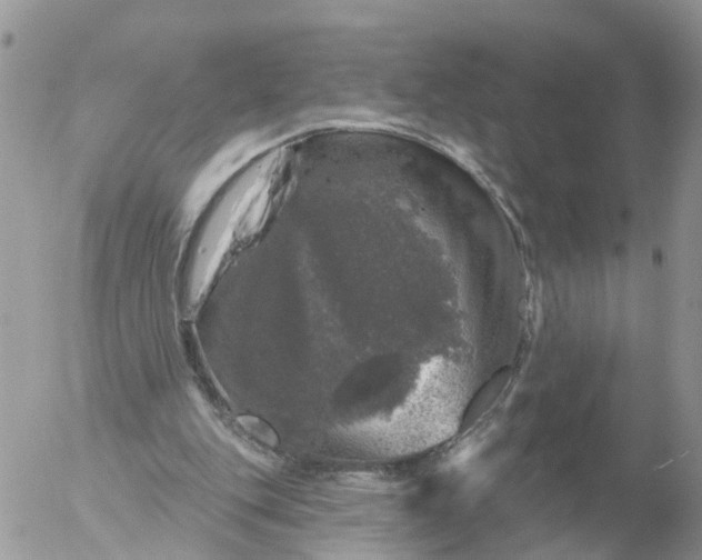 X0000056330151200509092337