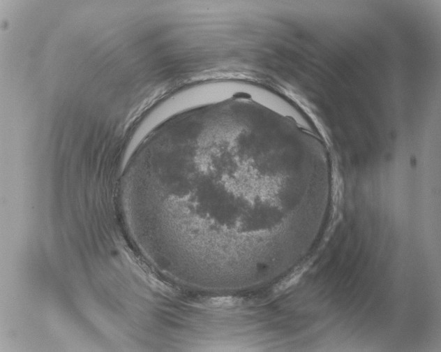 X0000056330153200509092337