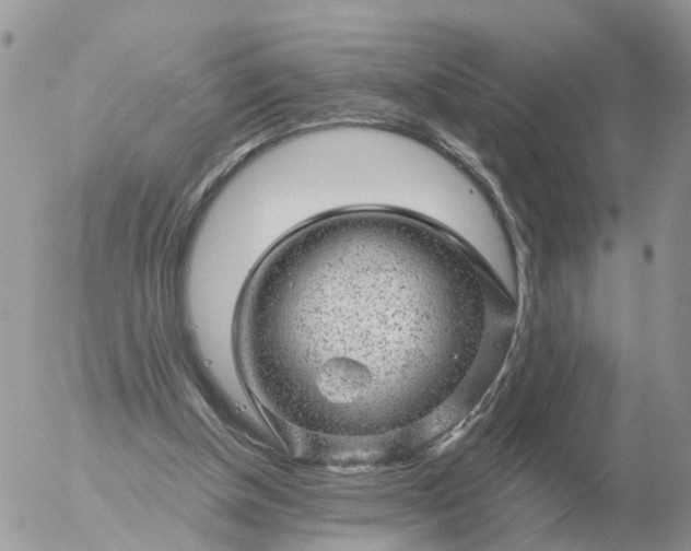 X0000056330154200509092337