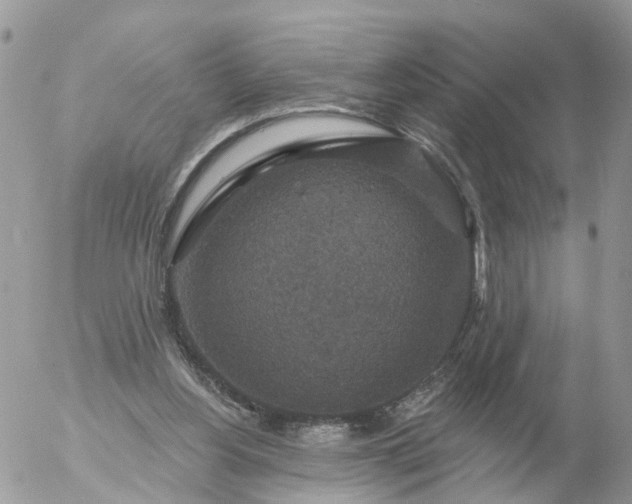 X0000056330156200509092337