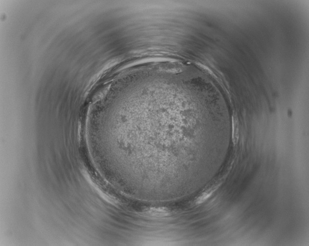 X0000056330157200509092337