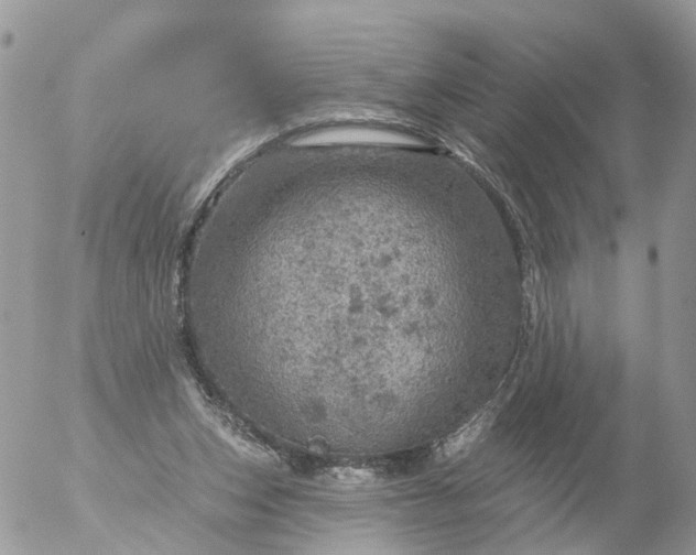 X0000056330159200509092337