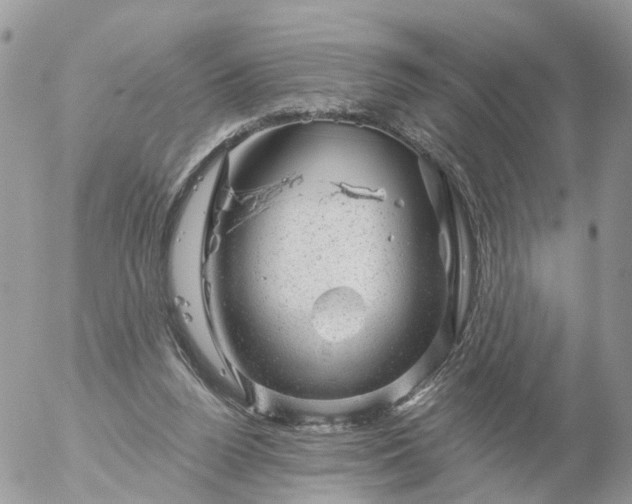 X0000056330160200509092337