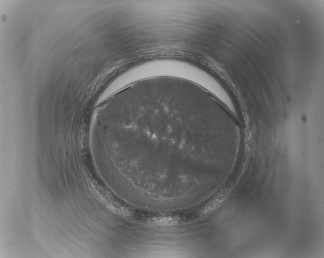 X0000056330161200509092337