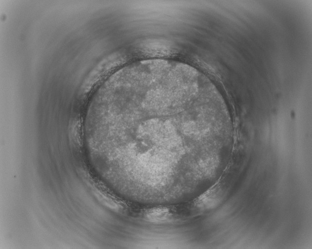 X0000056330162200509092337