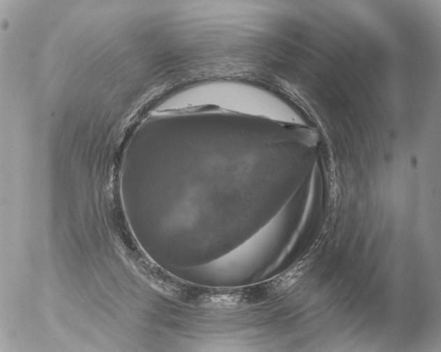 X0000056330163200509092337