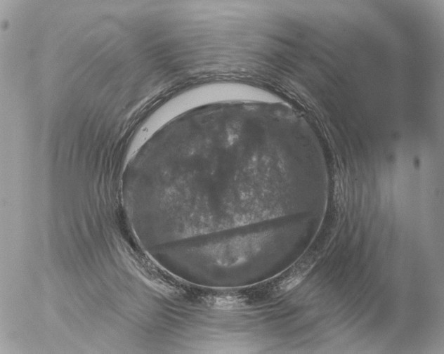 X0000056330165200509092337