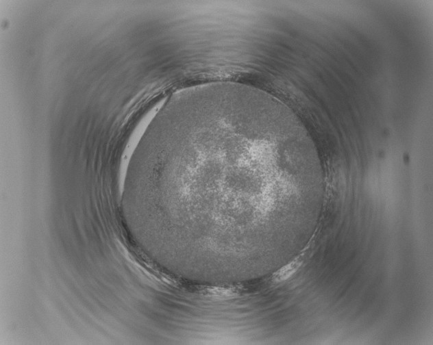 X0000056330166200509092337