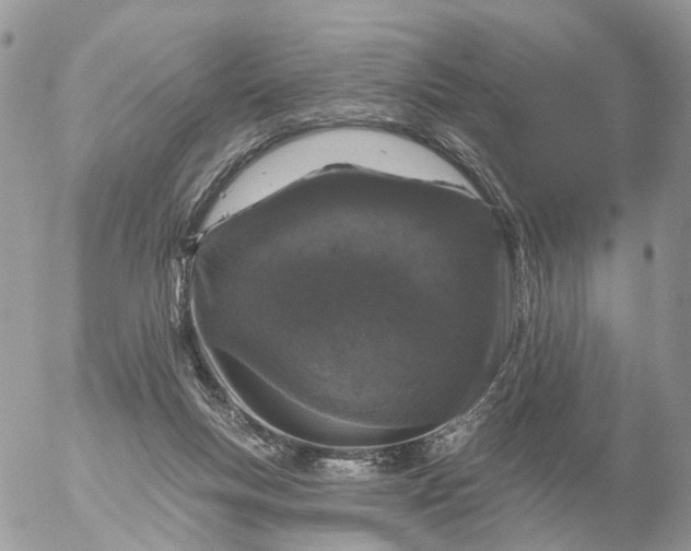 X0000056330167200509092337