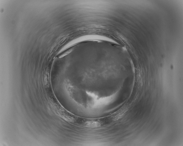 X0000056330169200509092337