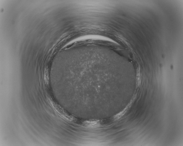 X0000056330170200509092337